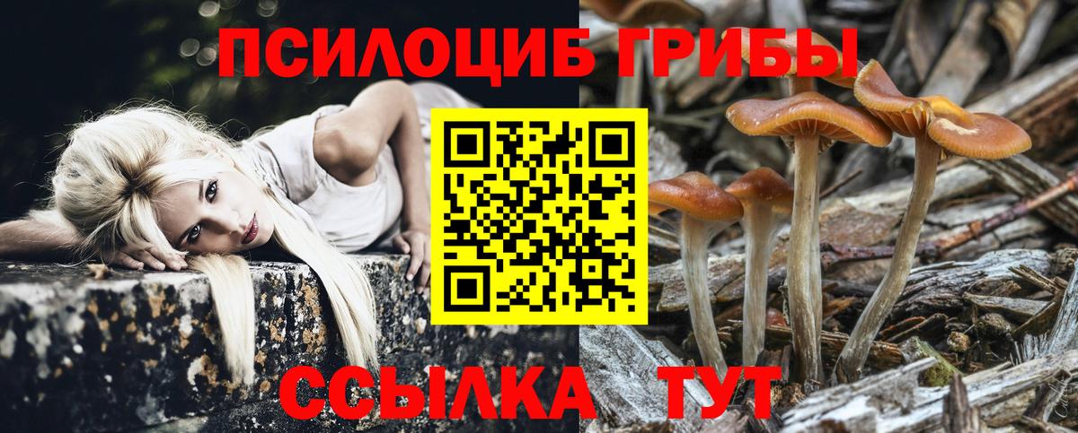 Галлюциногенные грибы мухоморы Тольятти